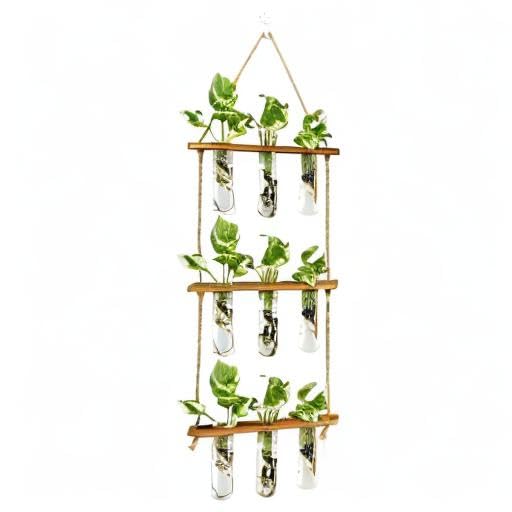 XXXFLOWER Plant Terrarium Propagation Station with Wooden Stand, Air Planter Glass Vase Home Indoor Office Decoration - 3 Bulb Vase + Test Tubes 3 Tiered