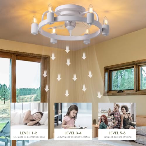 Flush Mount Ceiling Fan with Lights and Remote 20" (Black)