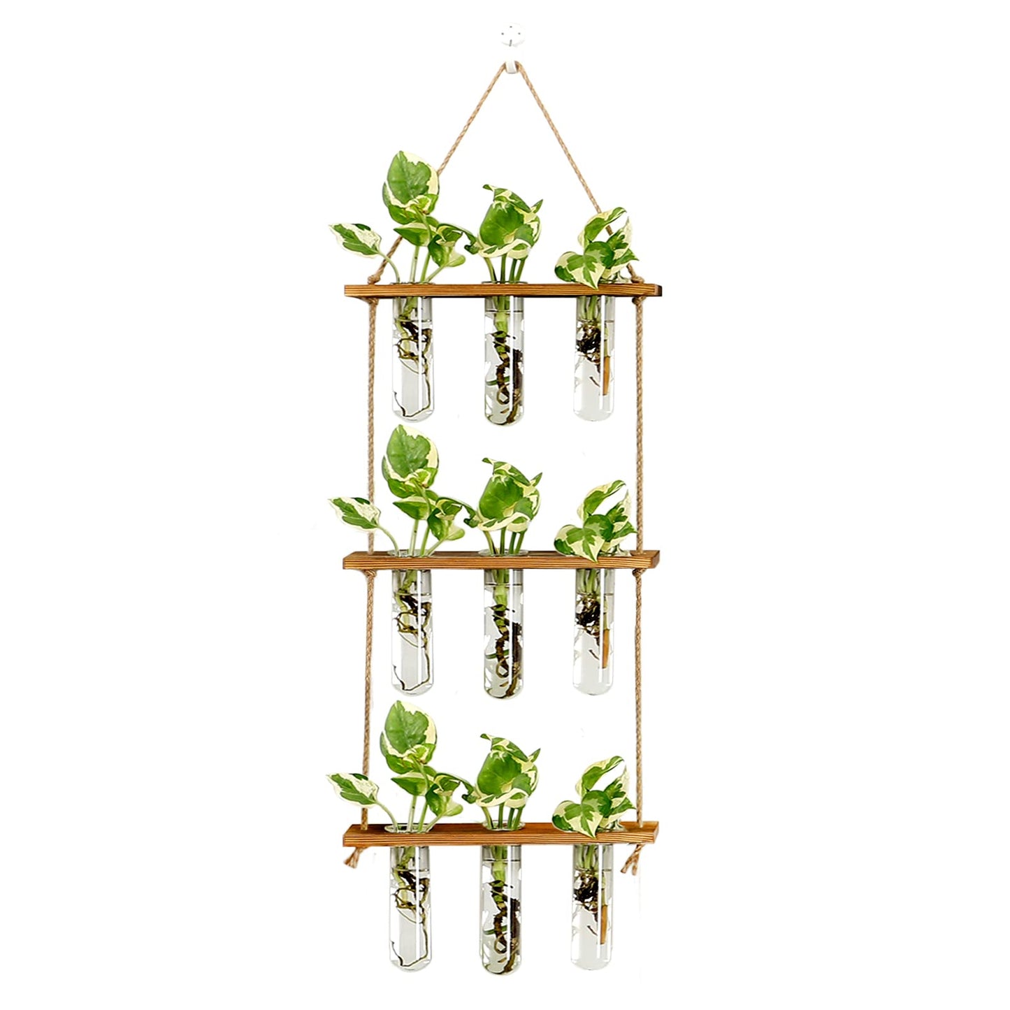 XXXFLOWER Wall Hanging Propagation Station with Wooden Stand Glass Test Tubes Plant Stand Indoor Outdoor 13 Tiers Wood Plant Shelf for Multiple Plants for Window Garden Balcony Patio Porch Living Roo