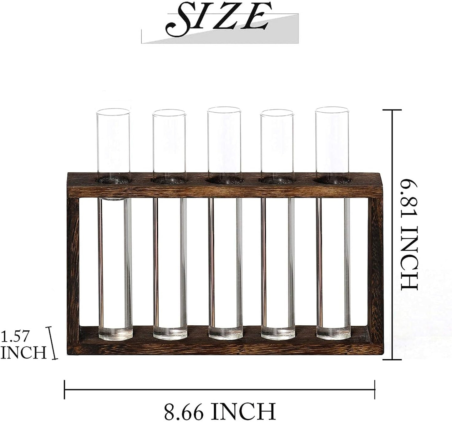 XXXFLOWER Plant Terrarium with Wooden Stand Test Tube Rack Air Planter Bulb Glass Vase Metal Swivel Holder Retro Tabletop for Hydroponics Home Garden Office Decor