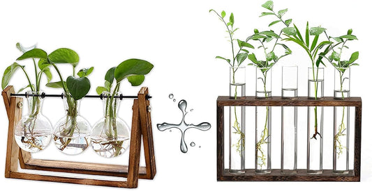 XXXFLOWER Plant Terrarium with Wooden Stand, Air Planter Bulb Glass Vase Metal Swivel Holder Retro Tabletop for Hydroponics Home Garden Office Decoration