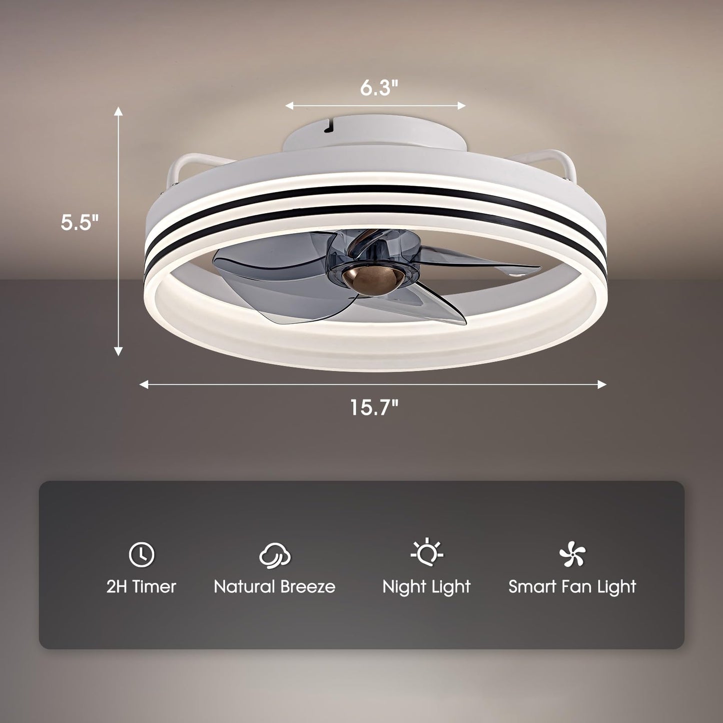 Flush Mount Ceiling Fan with Lights and Remote 20" (Black)