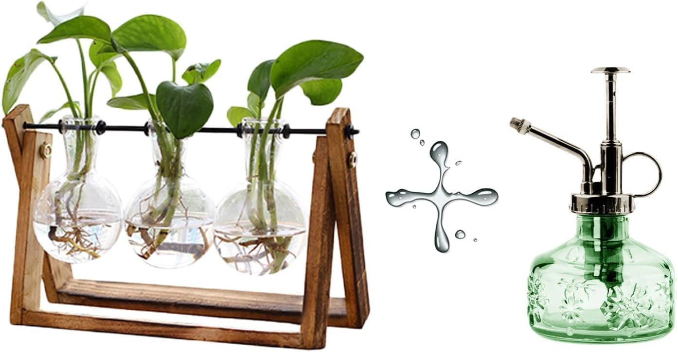 XXXFLOWER Plant Terrarium with Wooden Stand - 3 Bulb Vase + Glass Plant Mister Spray Bottle for Indoor Plant Spritzer