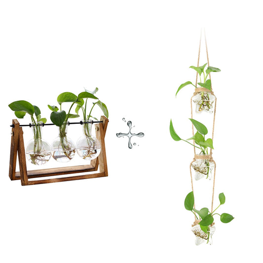 XXXFLOWER Plant Terrarium with Wooden Stand - 3 Bulb Vase+3 Tired Star Shaped Wall Hanging Propagation Station