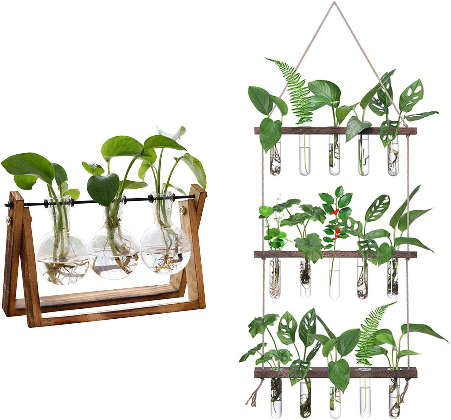 XXXFLOWER Plant Terrarium+ Wall Hanging Propagation Station