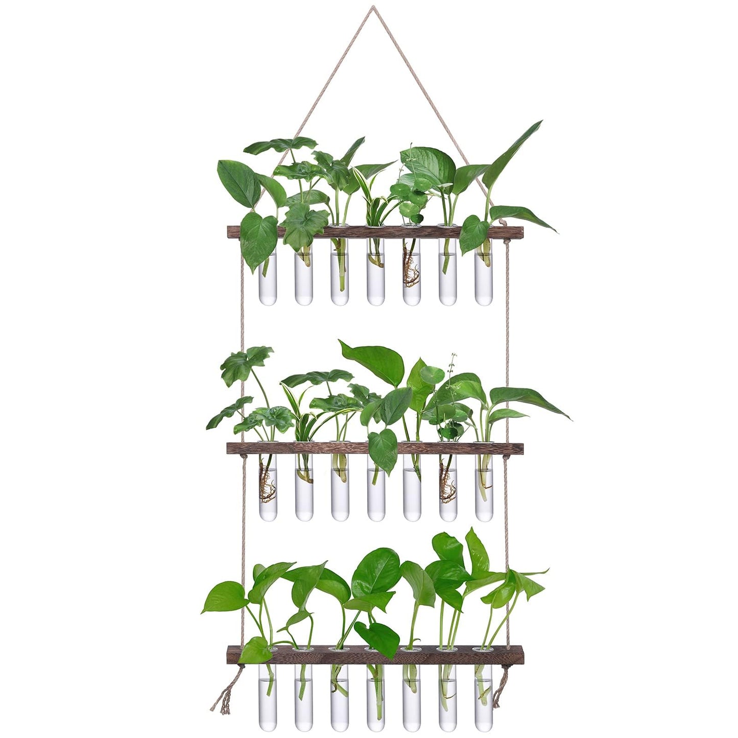 XXXFLOWER Wall Hanging Propagation Station with Wooden Stand Glass Test Tubes Tiered Planters Wall Terrarium for Home Office Plant Hanger Flower Vases Wall Decor Hydroponic Cuttings (9 Tube Vases)