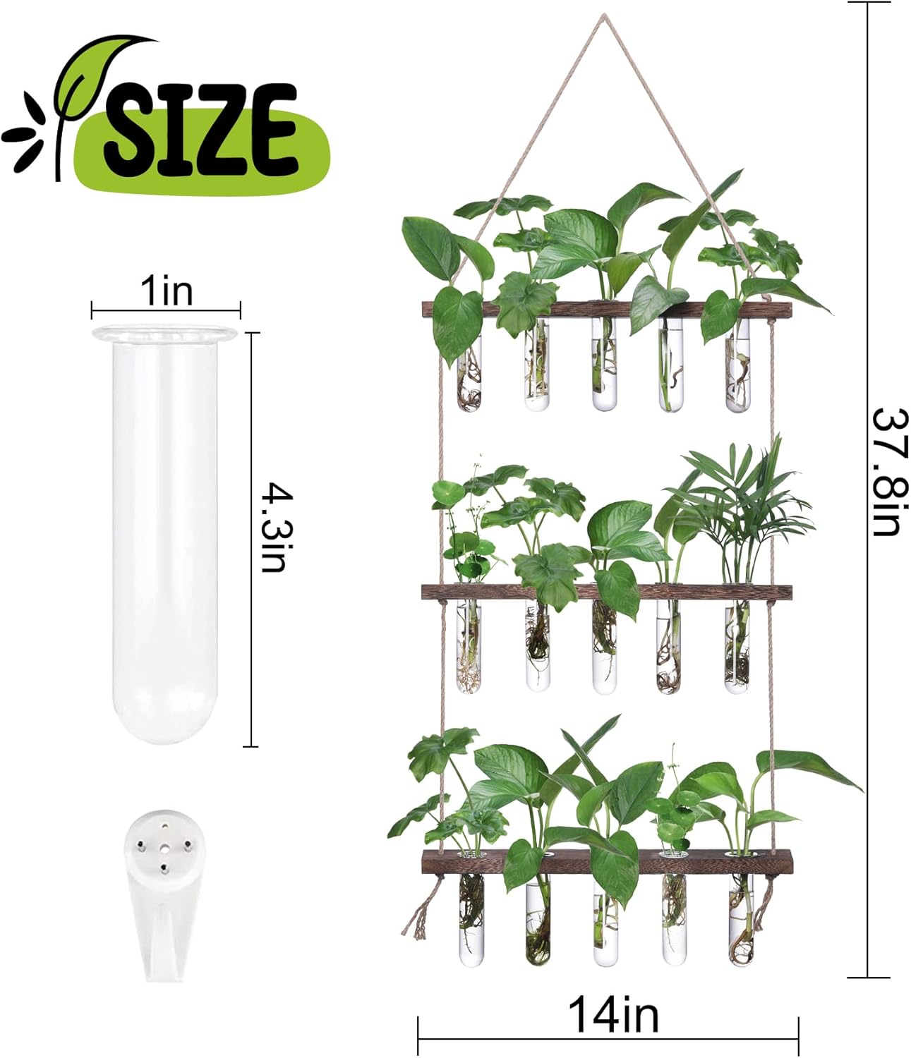 XXXFLOWER Plant Terrarium+ Wall Hanging Propagation Station