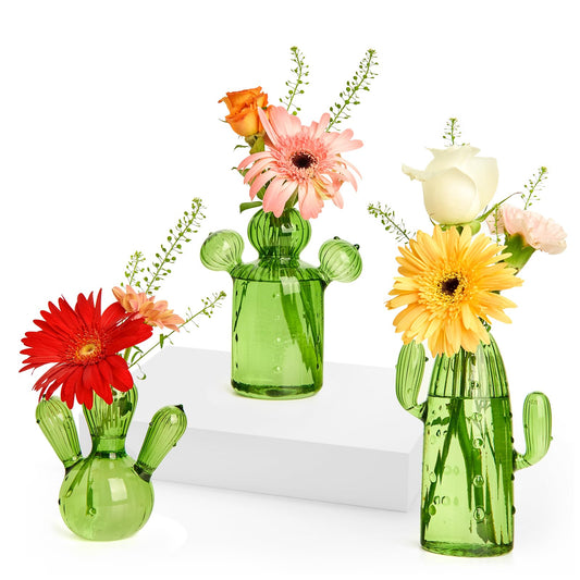 XXXFLOWER Cactus Plant Propagation Station Terrarium Jars for Plant Cuttings Air Plant Holders Unique Glass Flower Vase for Hydroponics Plants for Plant Lovers Home Garden Decor,3 Pcs