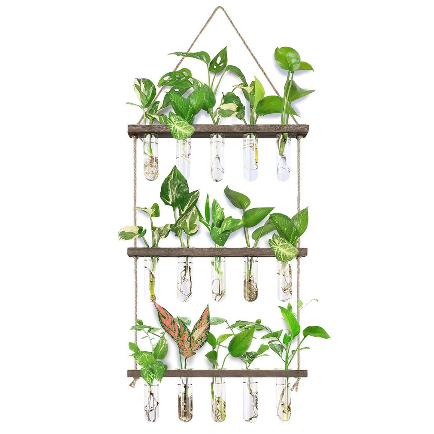 XXXFLOWER Wall Hanging Propagation Station with Wooden Stand Glass Test Tubes Tiered Planters Wall Terrarium for Home Office Plant Hanger Flower Vases Wall Decor Hydroponic Cuttings (9 Tube Vases)