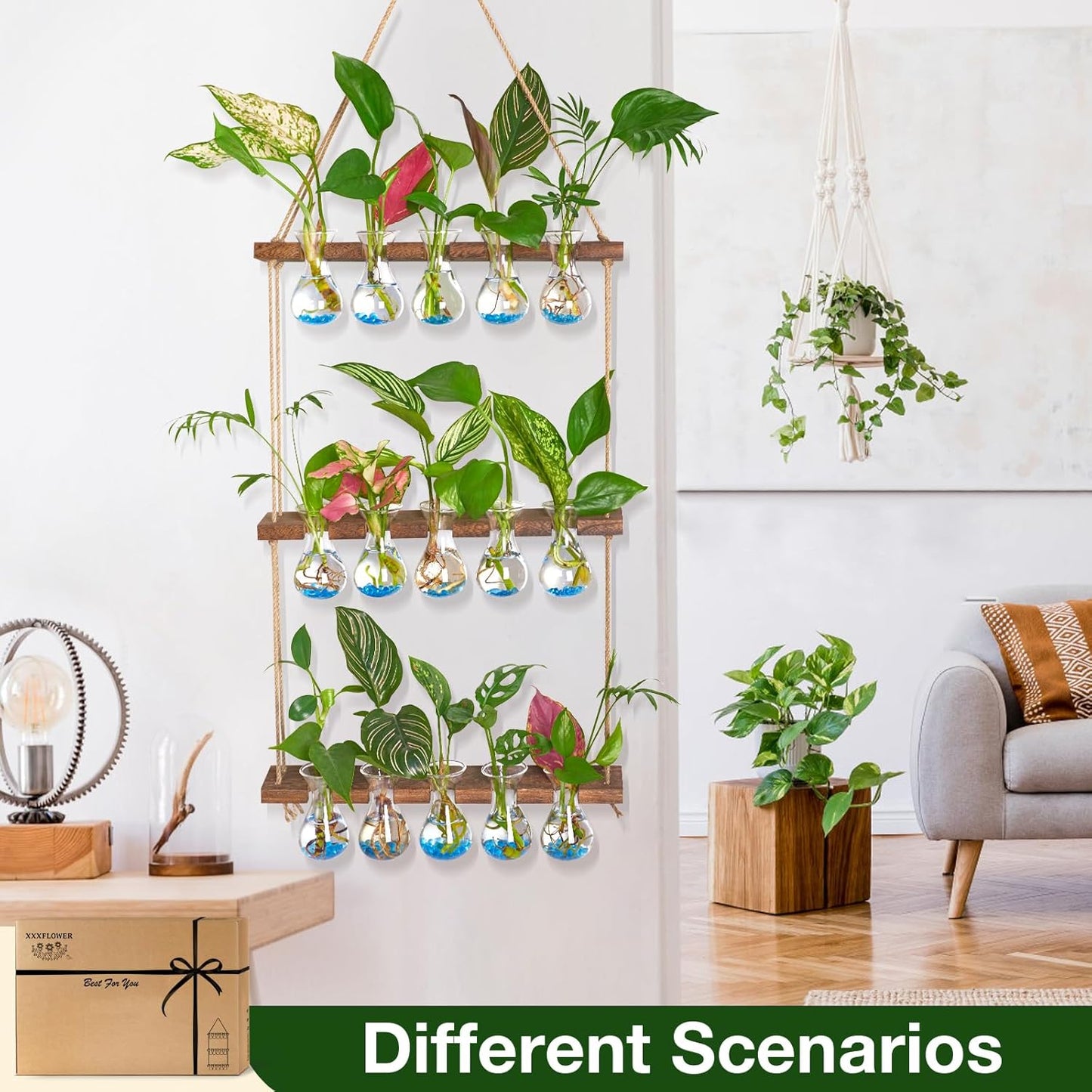 XXXFLOWER Wall Hanging Propagation Station with Wooden Stand 5 Bulb Vase 3 Tiered Planters+Flower Vases Accessories-3 Bulb Vase