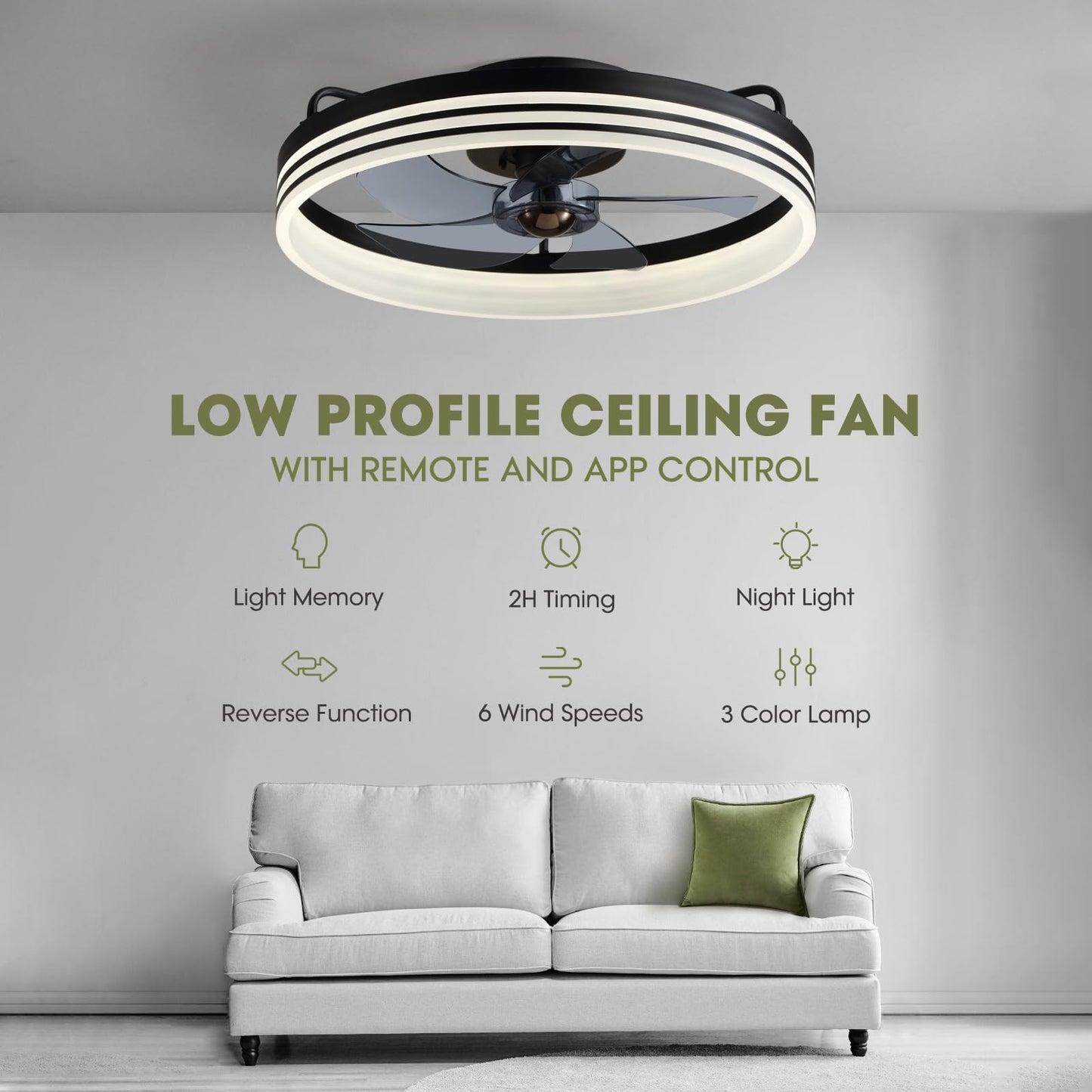 Flush Mount Ceiling Fan with Lights and Remote 20" (Black)