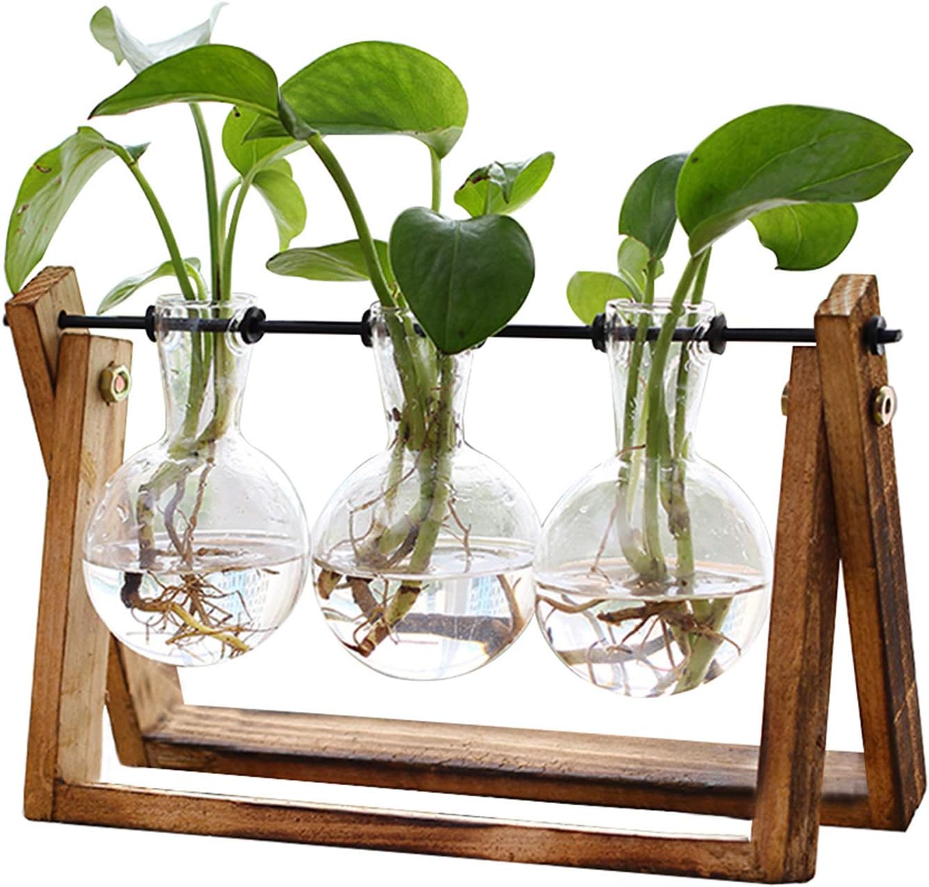 XXXFLOWER Plant Terrarium+ Wall Hanging Propagation Station