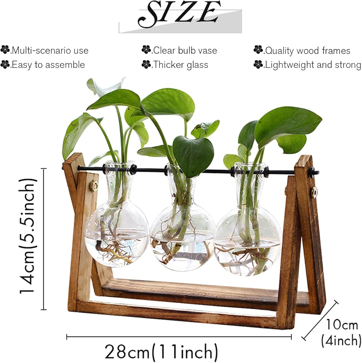 XXXFLOWER Plant Terrarium+ Wall Hanging Propagation Station