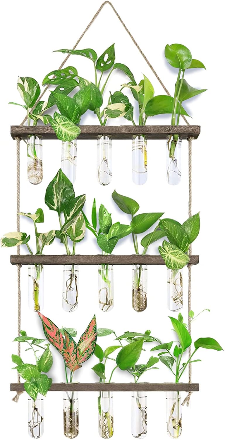 XXXFLOWER Plant Terrarium+ Wall Hanging Propagation Station