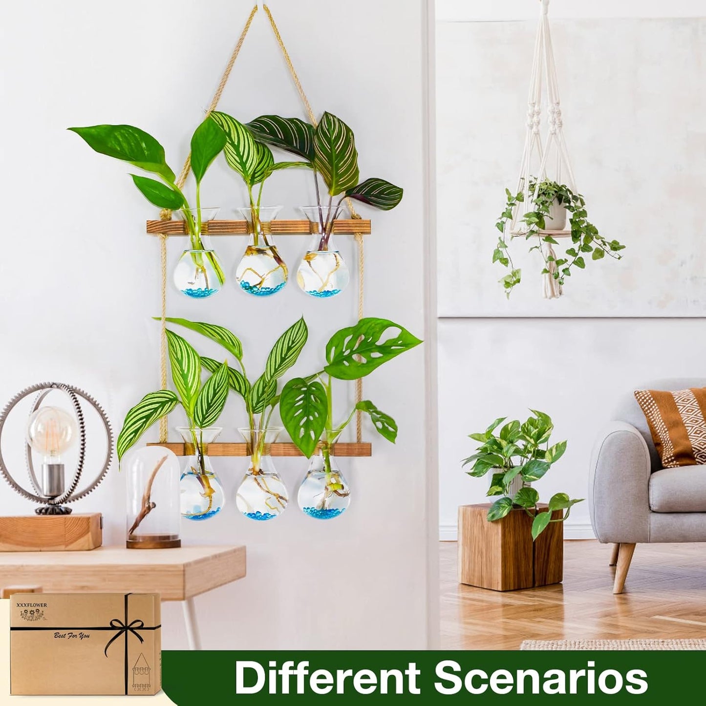 XXXFLOWER Wall Hanging Propagation Station with Wooden Stand 3 Bulb Vase 2 Tiered Planters Wall Terrarium+Flower Vases Accessories-2 Bulb Vase