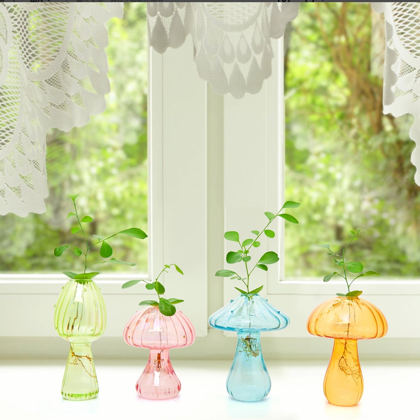 XXXFLOWER Glass Mushroom Propagation Planter Window Plant Propagation Station Crystal Hydroponic Mushroom Jars for Plant Cuttings Unique Glass Bud Flower Vase Indoor for Home Office Garden Decor