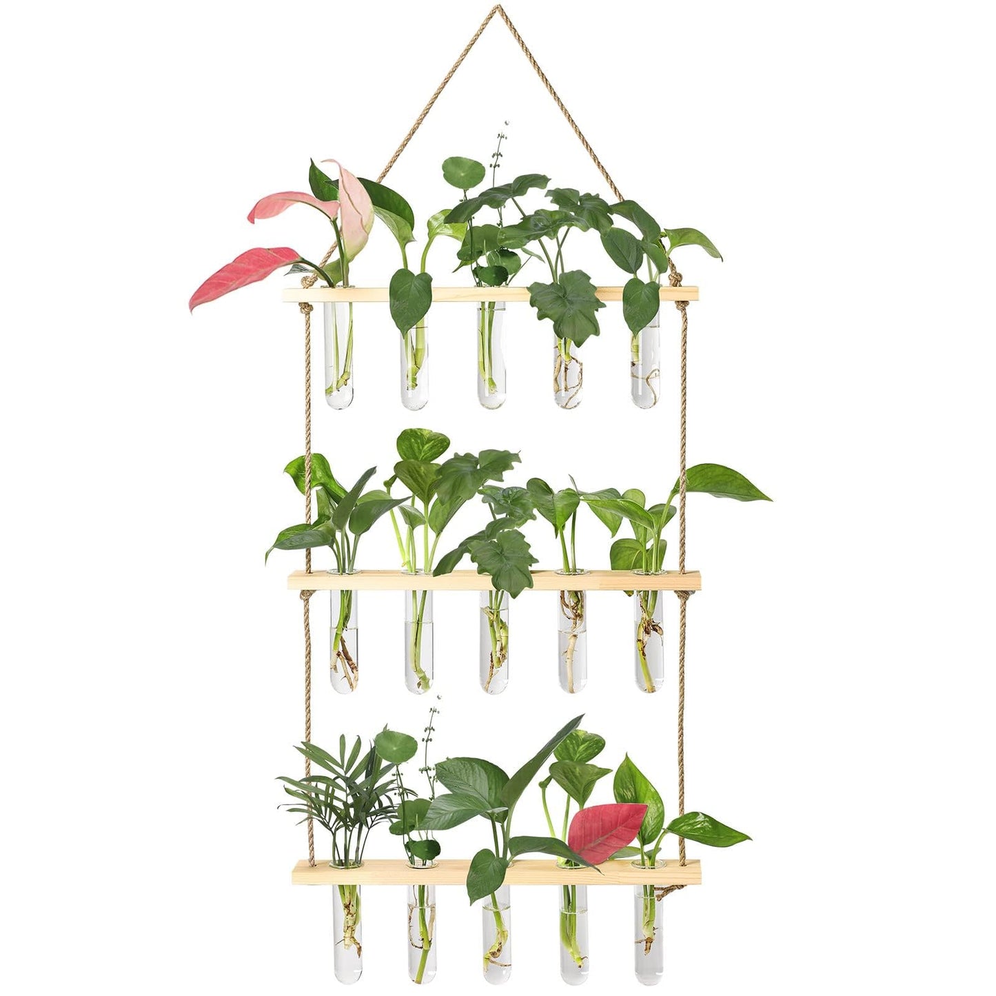 XXXFLOWER Wall Hanging Propagation Station with Wooden Stand Glass Test Tubes Tiered Planters Wall Terrarium for Home Office Plant Hanger Flower Vases Wall Decor Hydroponic Cuttings (9 Tube Vases)