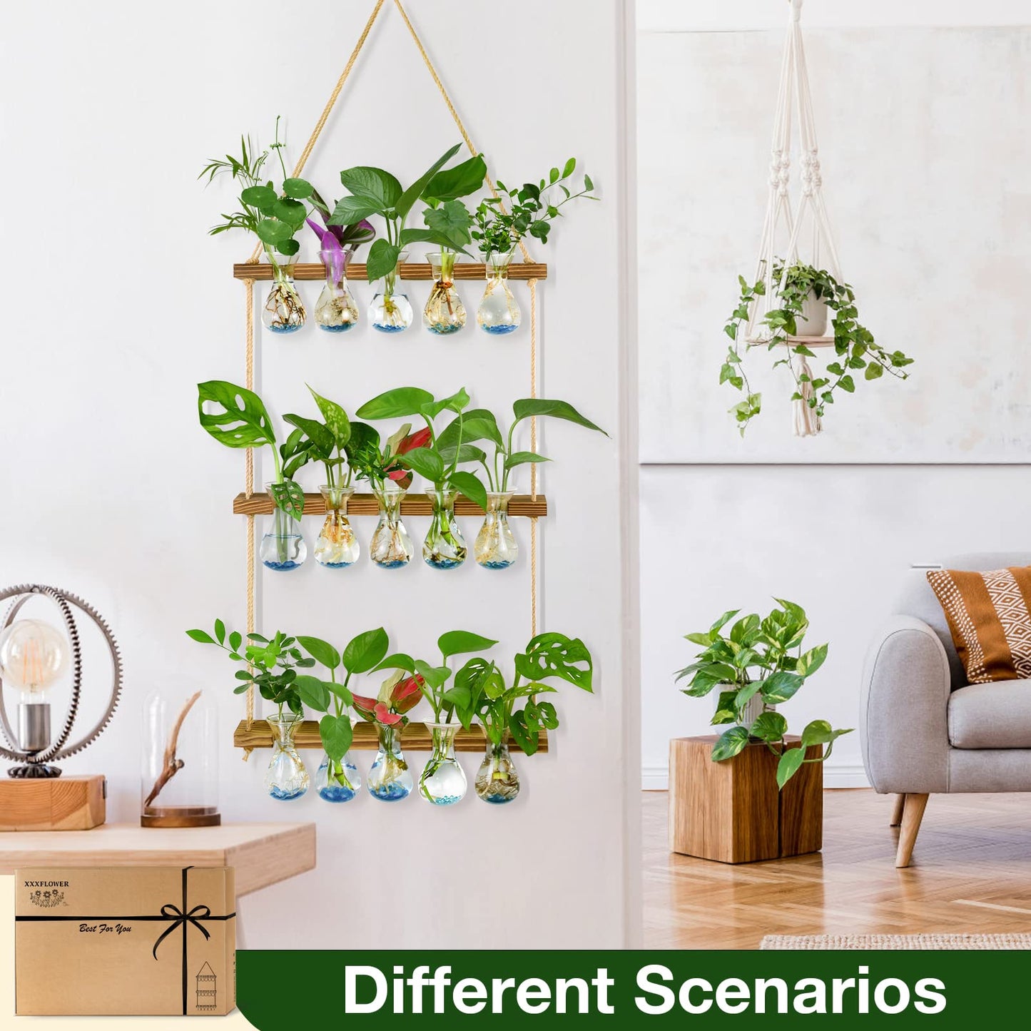 XXXFLOWER Wall Hanging Propagation Station with Wooden Stand 5 Bulb Vase 3 Tiered Planters Wall Terrarium+Flower Vases Accessories-3 Bulb Vase