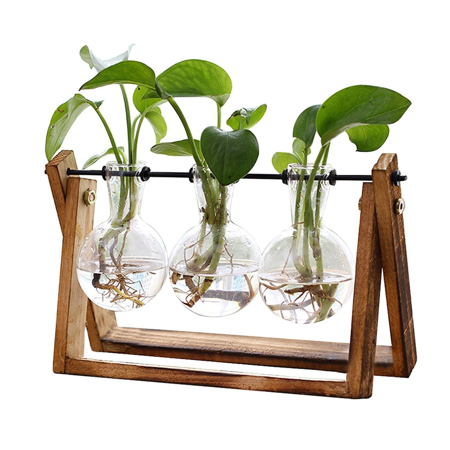 XXXFLOWER Plant Terrarium Propagation Station with Wooden Stand, Air Planter Glass Vase Home Indoor Office Decoration - 3 Bulb Vase + Test Tubes 3 Tiered