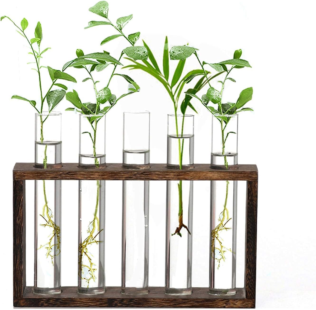 XXXFLOWER Plant Terrarium with Wooden Stand Test Tube Rack Air Planter Bulb Glass Vase Metal Swivel Holder Retro Tabletop for Hydroponics Home Garden Office Decor