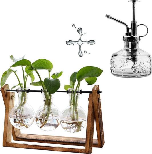 XXXFLOWER Plant Terrarium with Wooden Stand Home Office Glass Plant Spritzer Succulent Mister Spray Bottle Planter Bulb Vase for Hydroponics Plant for Indoor Outdoor Garden Decor