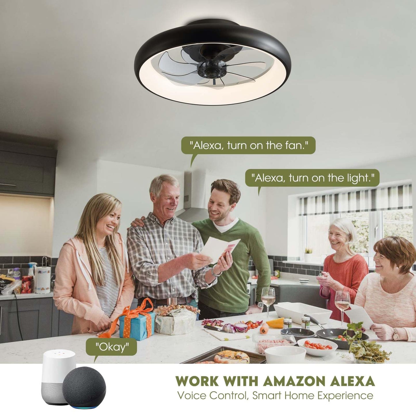 Flush Mount Ceiling Fan with Lights and Remote 20" (Black)